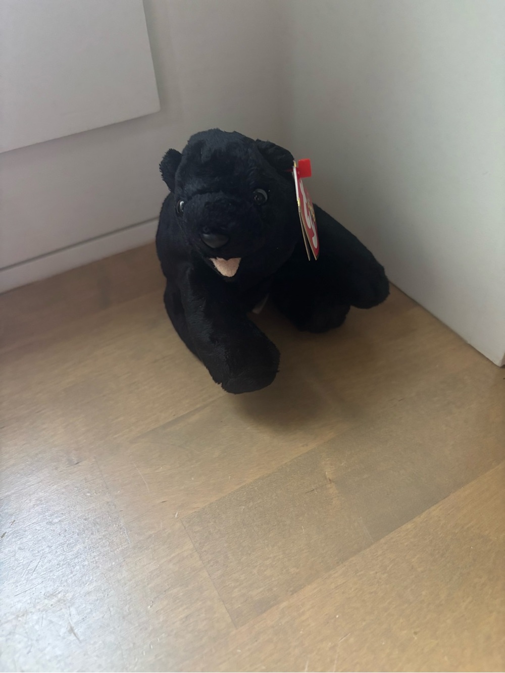 Ty beanie baby Cinders